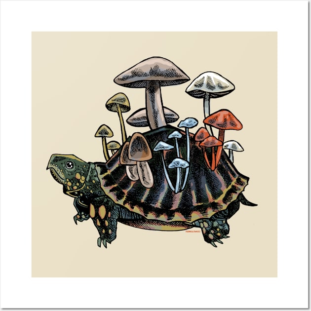 Mushroom Turtle Wall Art by Penciltucky